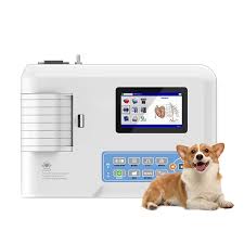 Veterinary electrocardiograph
